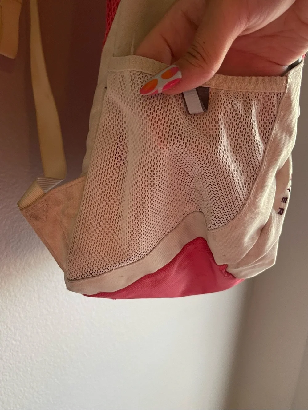 The North Face Cream and Pink Daypack Backpack
